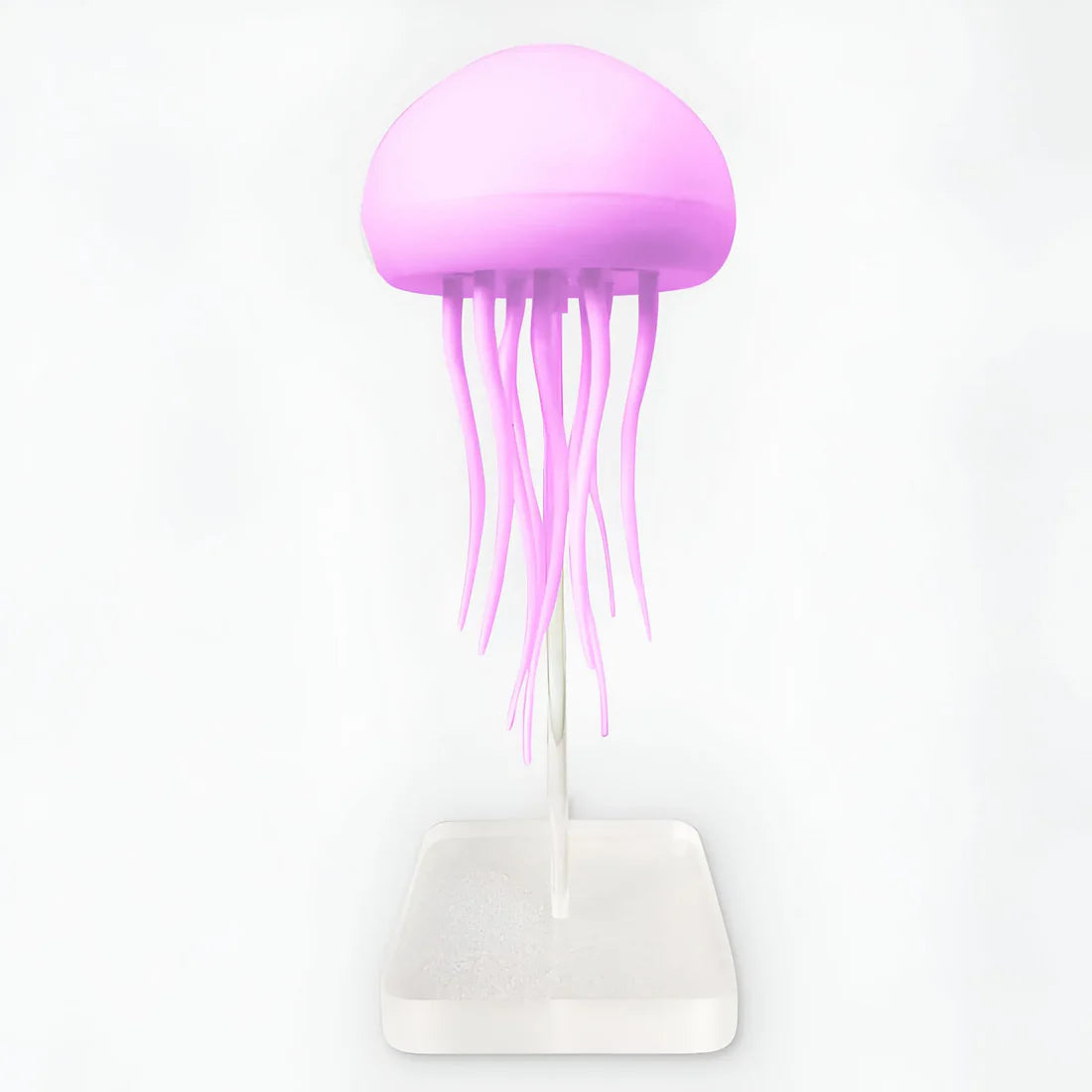 Jellyfish